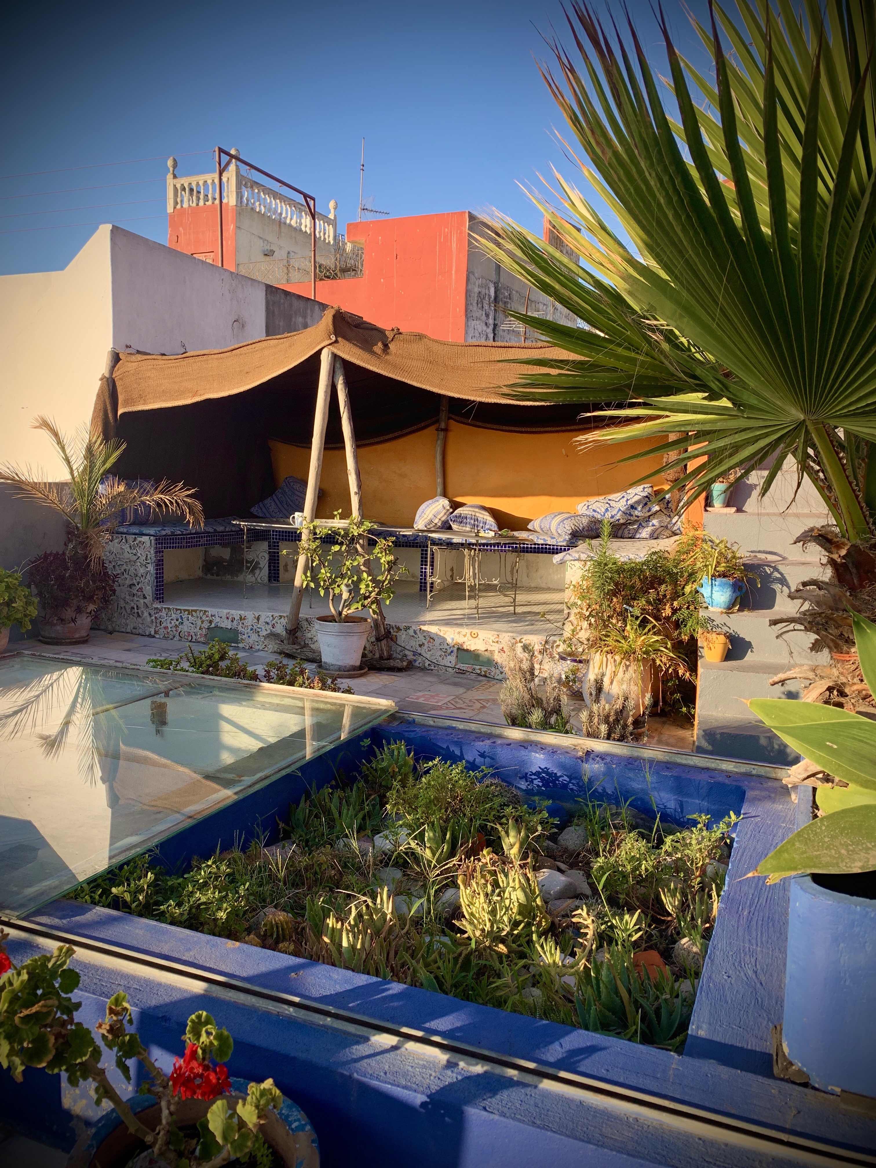 A picture of the rooftop terrace with covered seating and a garden with a skylight. 